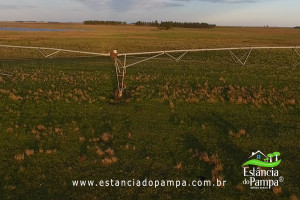 Fazenda com 1496 ha em Cachoeira do Sul localidade Irapu�.00_04_27_00.Quadro037_9d1d4c036fcf2763d9b409130e5cf17fa67ed189.jpg